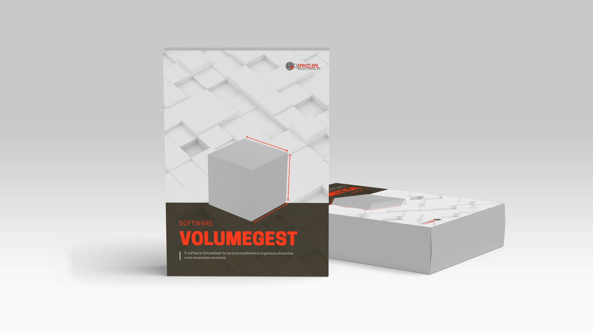Software VolumeGest
